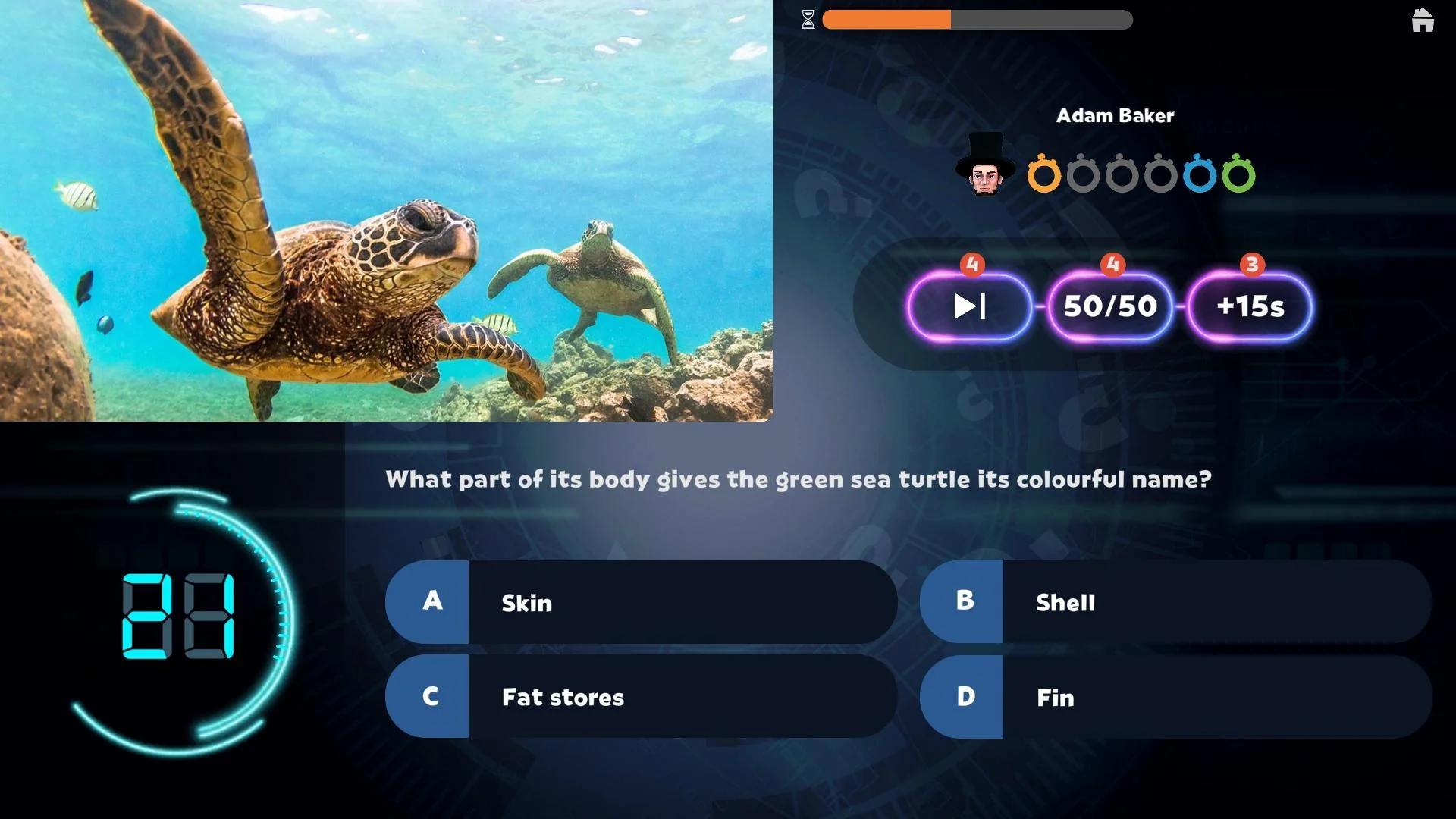 Ocean Life - Image 2