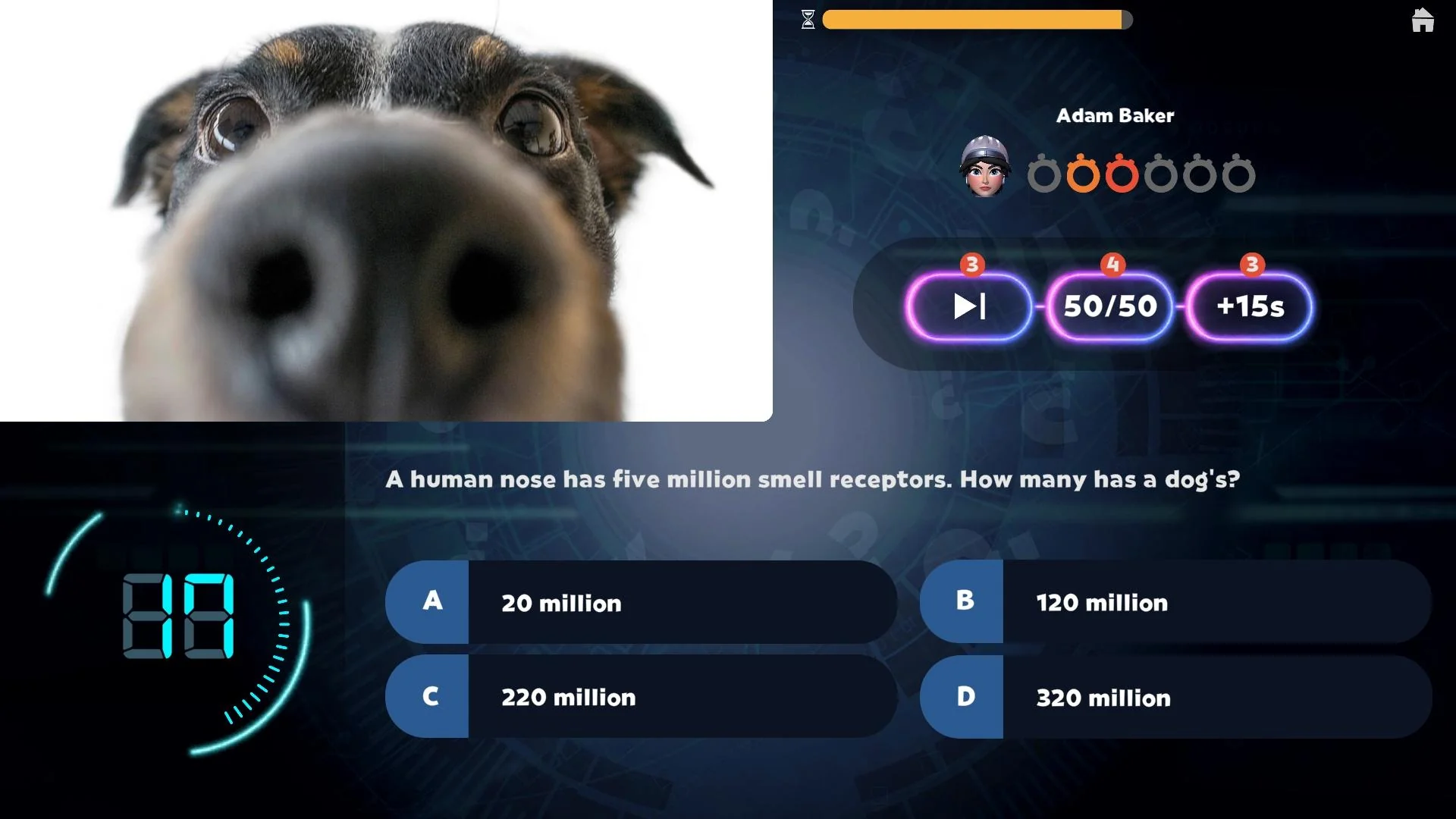 World of Pets - Image 4